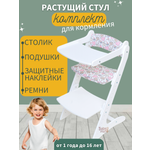 Стульчик для кормления Babystul трансформер