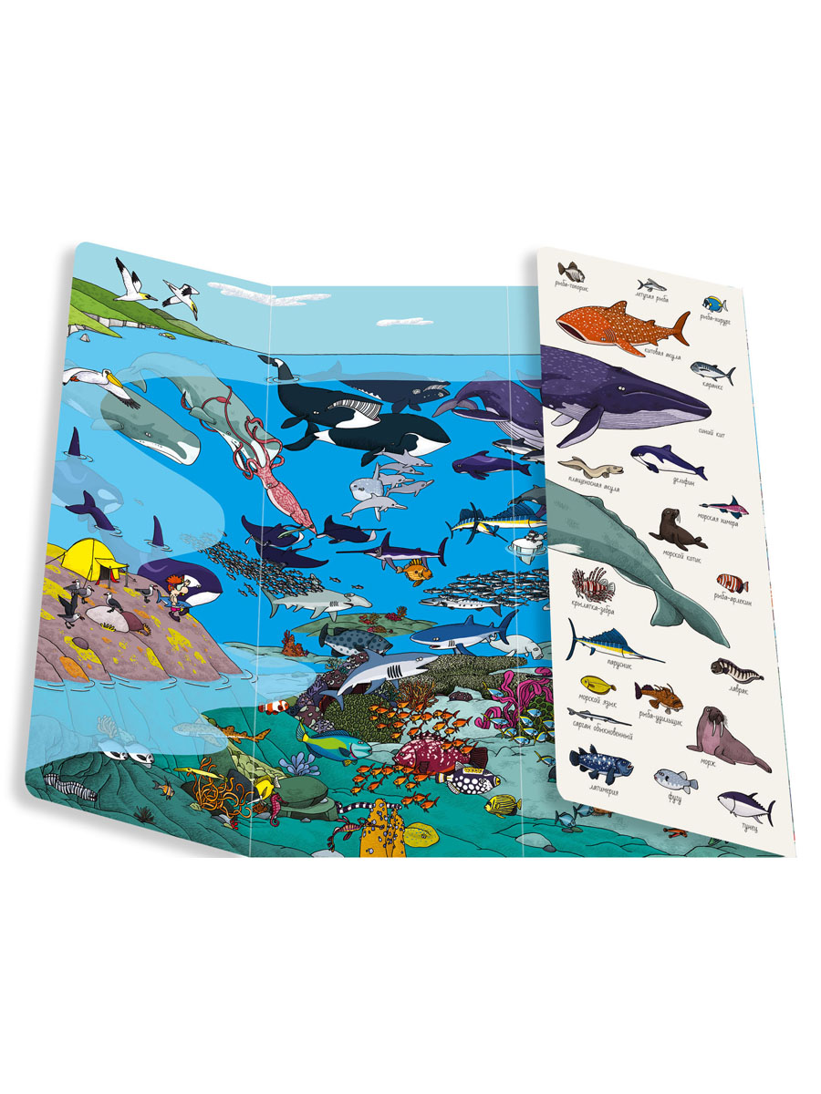 Книга Clever Издательство Найди и покажи. Мир животных - фото 3