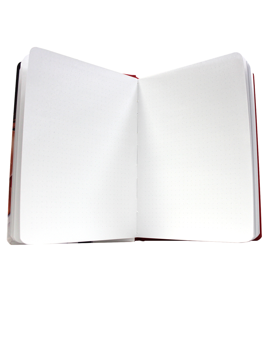 Блокнот Проф-Пресс в точку А5. Точкабук 180° 64 лист. - фото 6