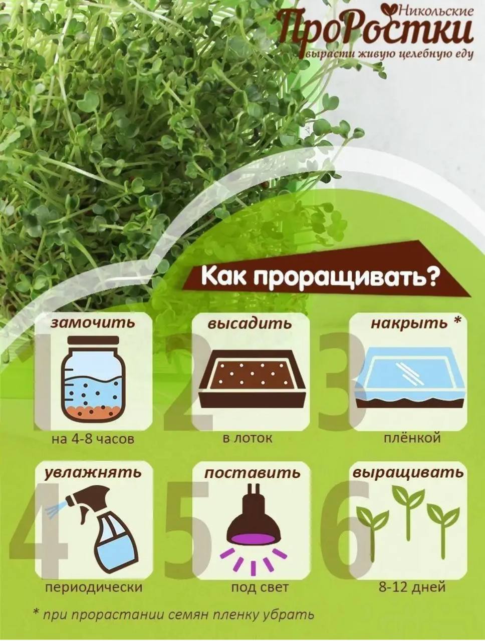 Семена для микрозелени Никольские ПроРостки люцерна, клевер, лен, редис, брокколи - фото 5