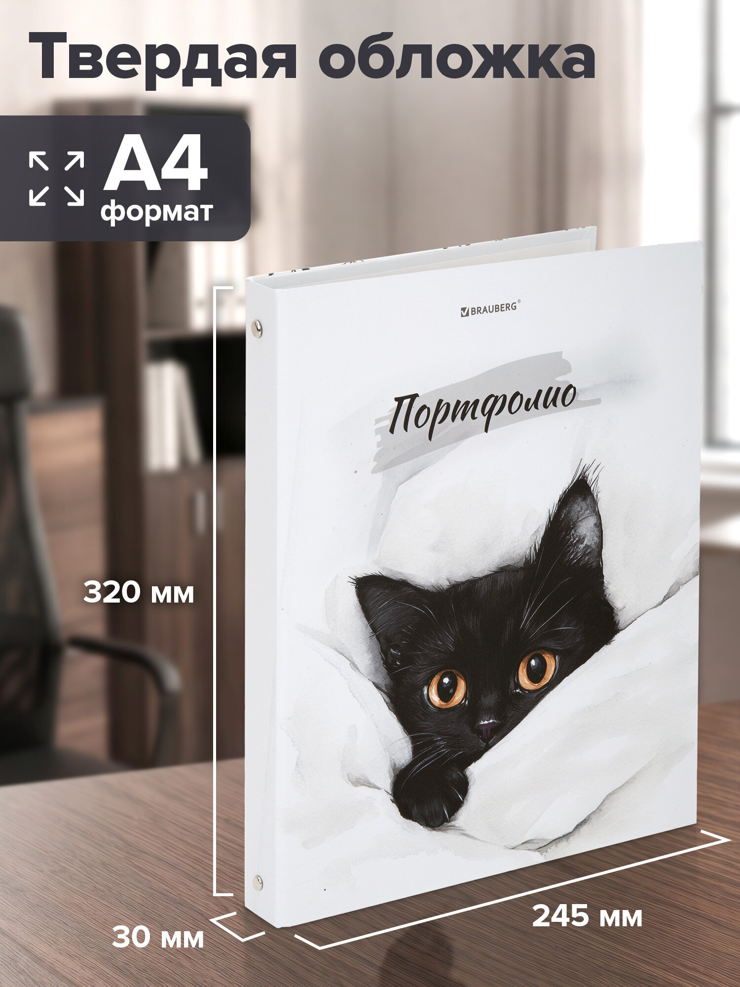 Портфолио школьника Brauberg папка А4 на кольцах 20 файлов для девочки и мальчика - фото 3