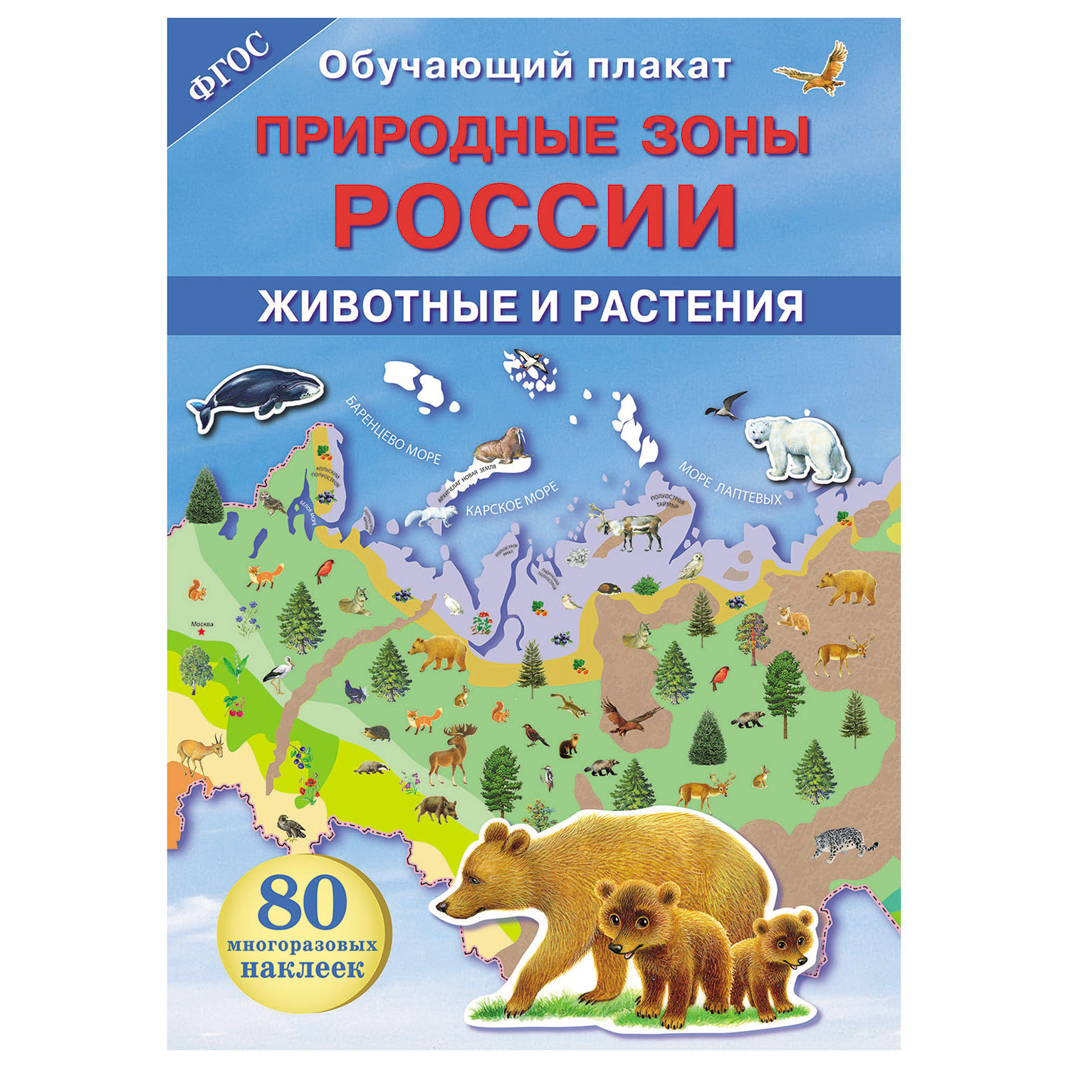 Книга СТРЕКОЗА Обучающий плакат Природные зоны России Животные и растения - фото 1