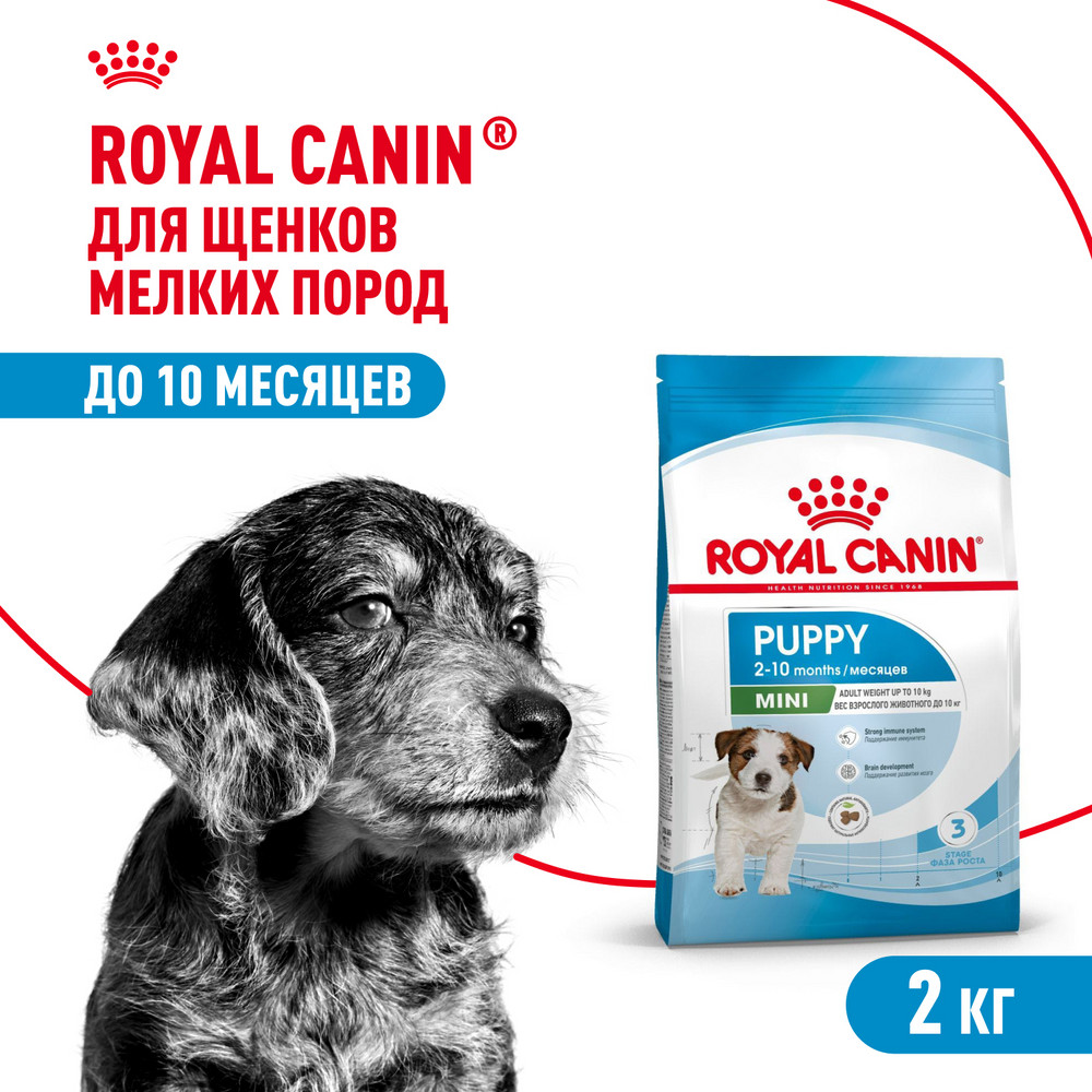 Корм для щенков ROYAL CANIN Puppy мелких пород 2кг - фото 1
