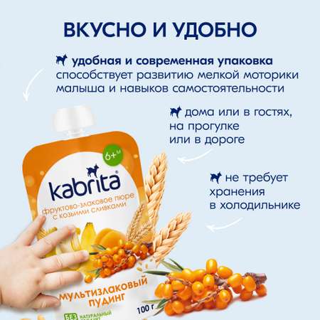 Пюре Kabrita Пудинг Мультизлаковый с облепихой с 6 мес 100 г