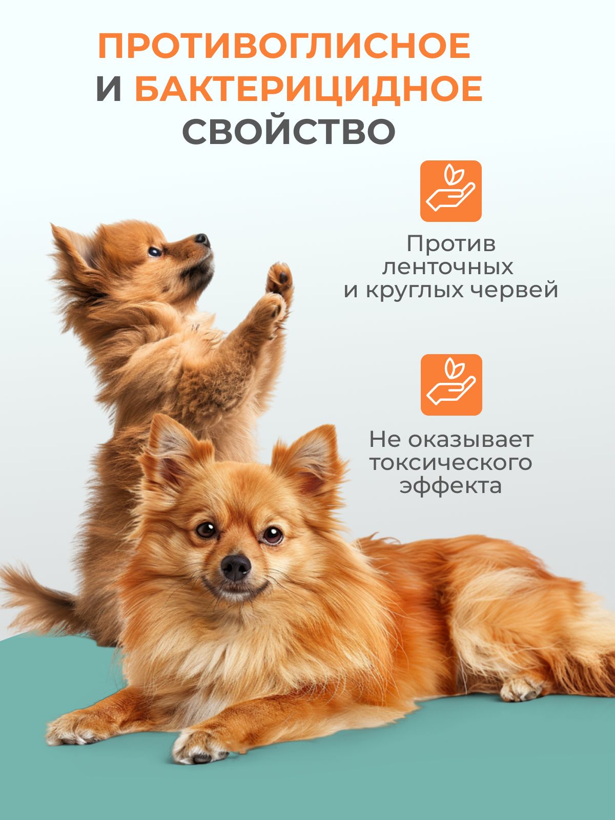 Капли от глистов для собак и щенков GOODR Dog антигельминтное 50мл - фото 2