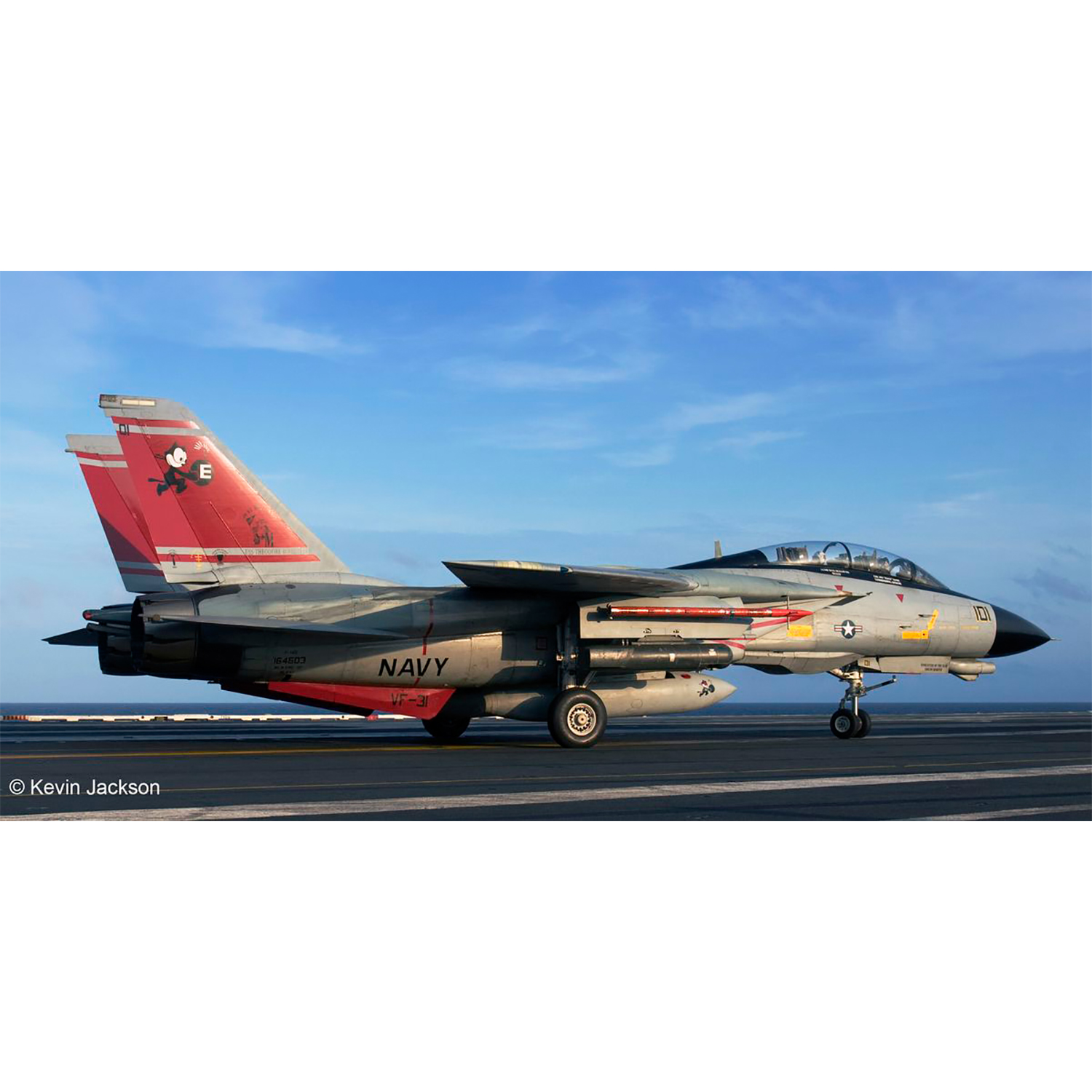 Сборная модель Revell Палубный истребитель Грумман F-14D Super Tomcat 03960 - фото 8