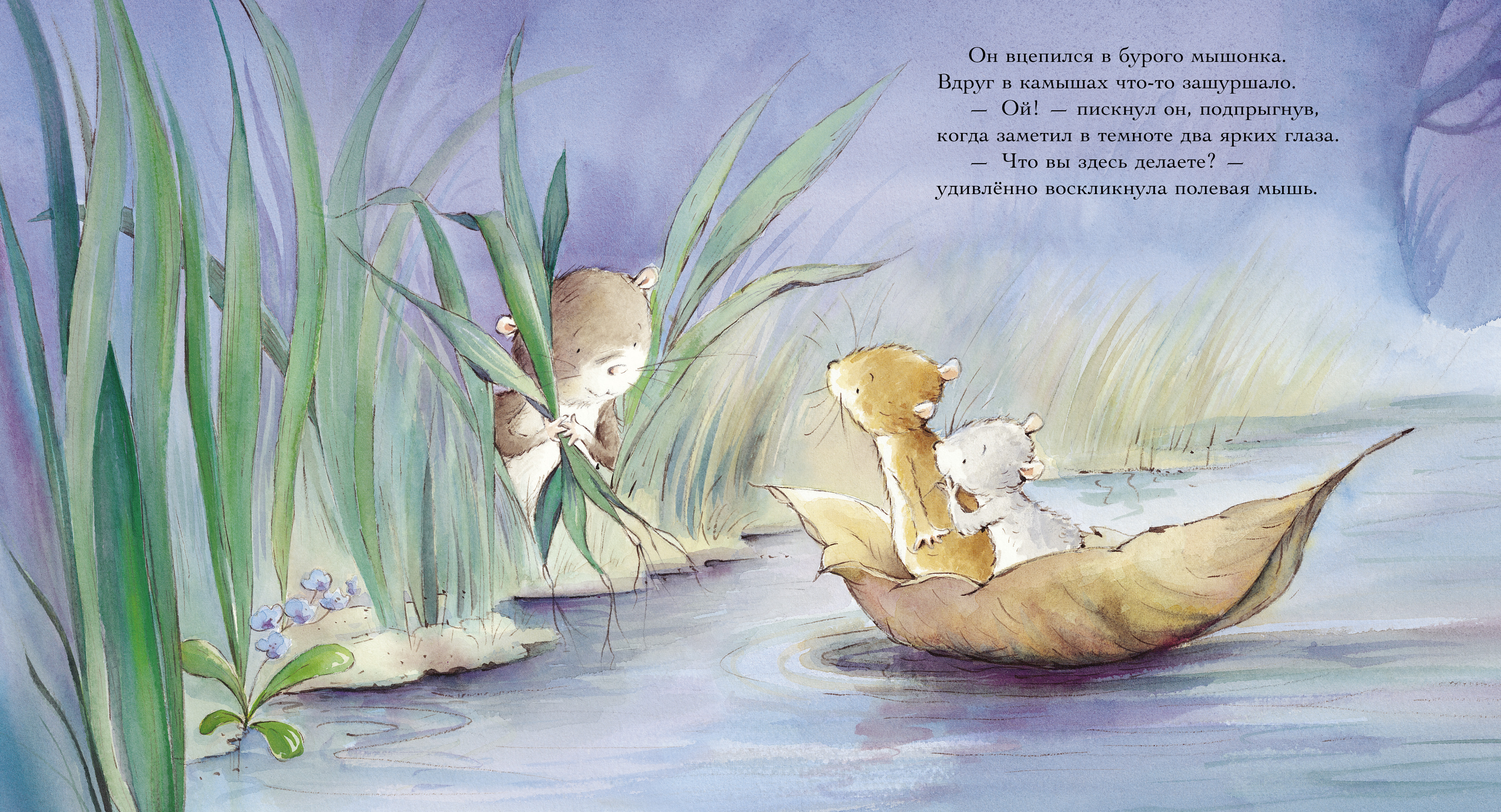 Книга Clever Книжки-картинки - фото 6