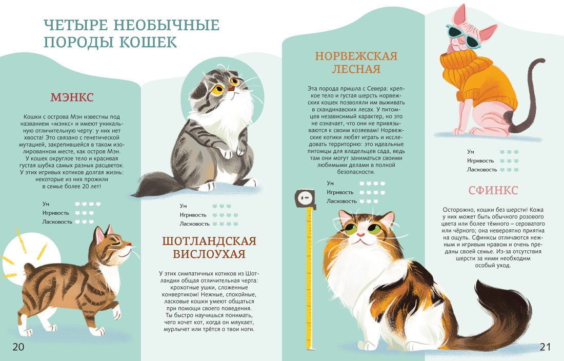 Книга Махаон Энц Вилла А Все все все домашние питомцы - фото 9