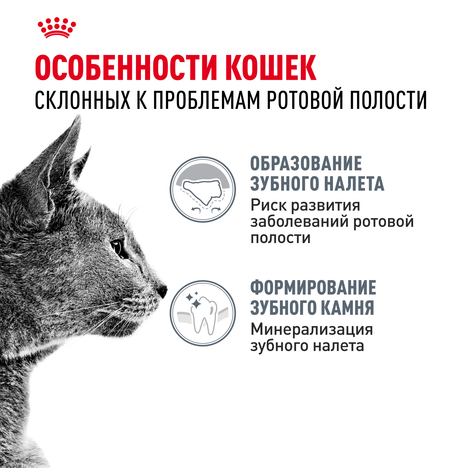 Корм для кошек ROYAL CANIN Dental Care для профилактики образования зубного налета и зубного камня 1.5кг - фото 2