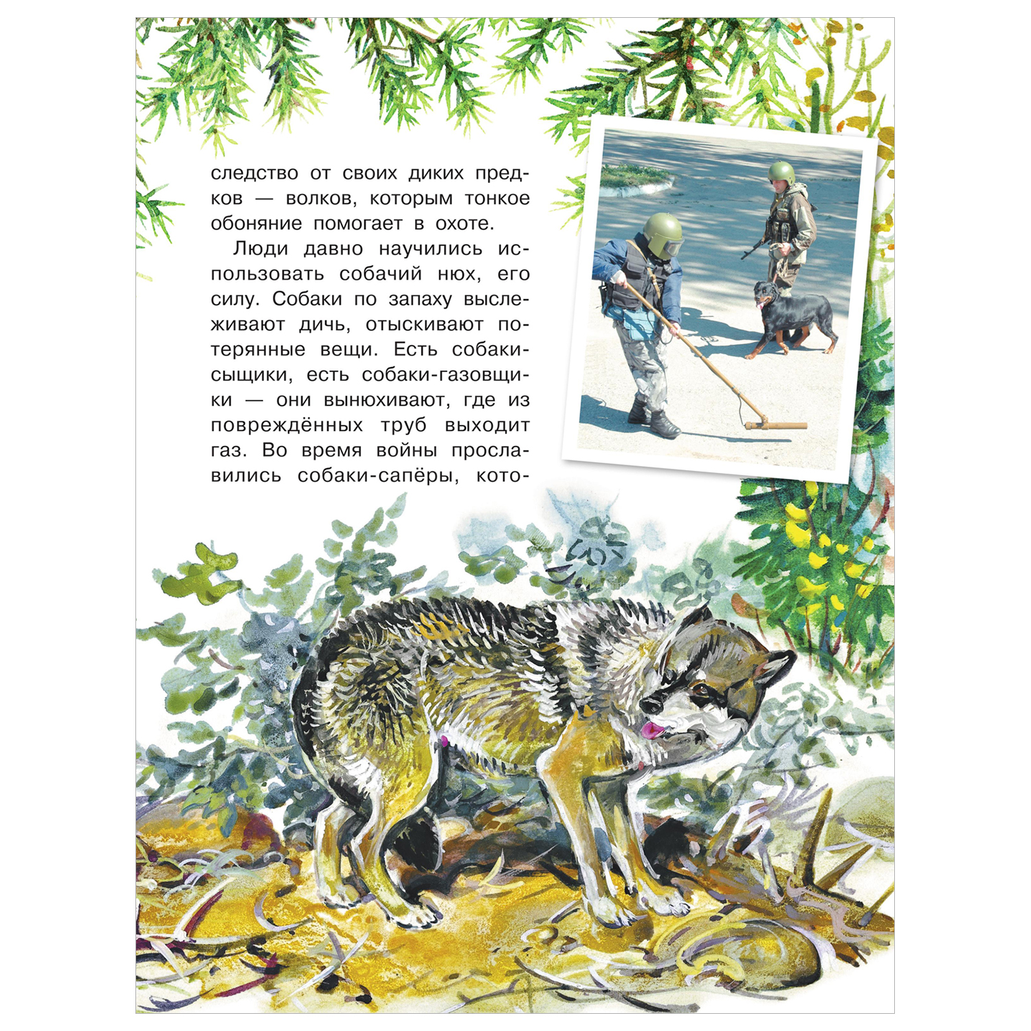 Книга Для чего коту усы - фото 7