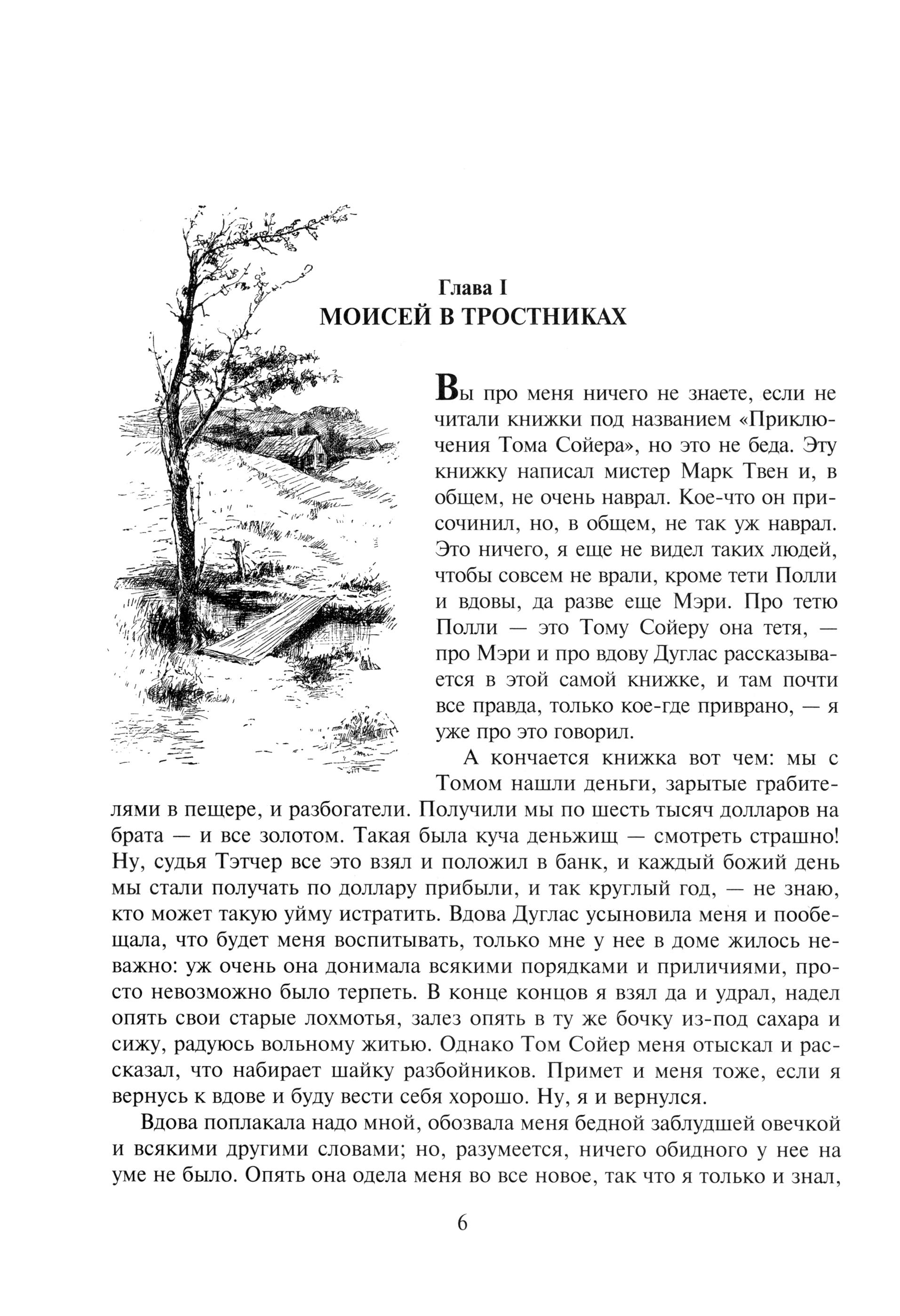 Книга Альфа-книга Приключения Гекльберри Финна - фото 6