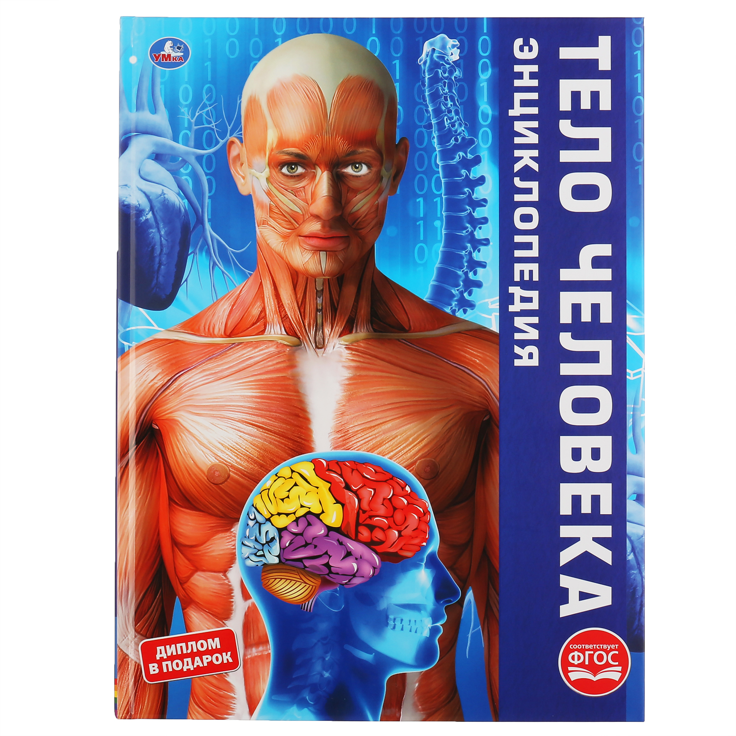 Книга УМка Тело человека - фото 1