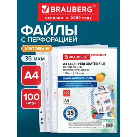 Файл Brauberg набор 100 штук матовые А4
