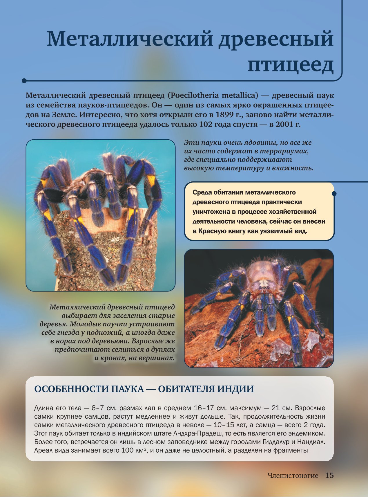 Энциклопедия АСТ Красная книга - фото 8