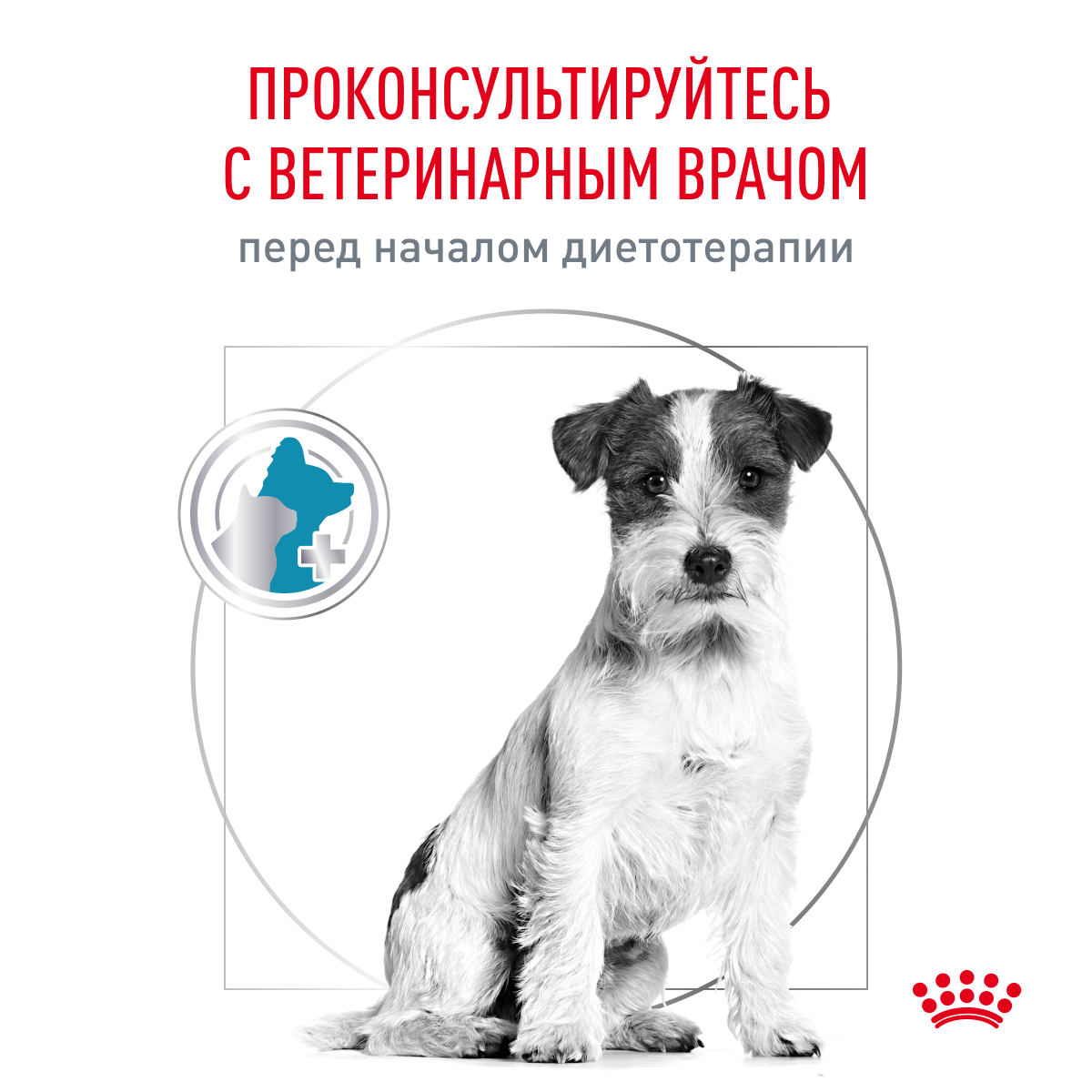 Корм для собак ROYAL CANIN Hypoallergenic HDS24 малых пород с пищевой аллергией 3.5кг - фото 9