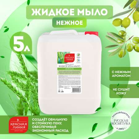 Мыло жидкое Красная Линия 5000 мл