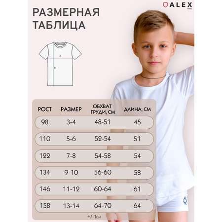 Футболка 2 шт ALEX YVN