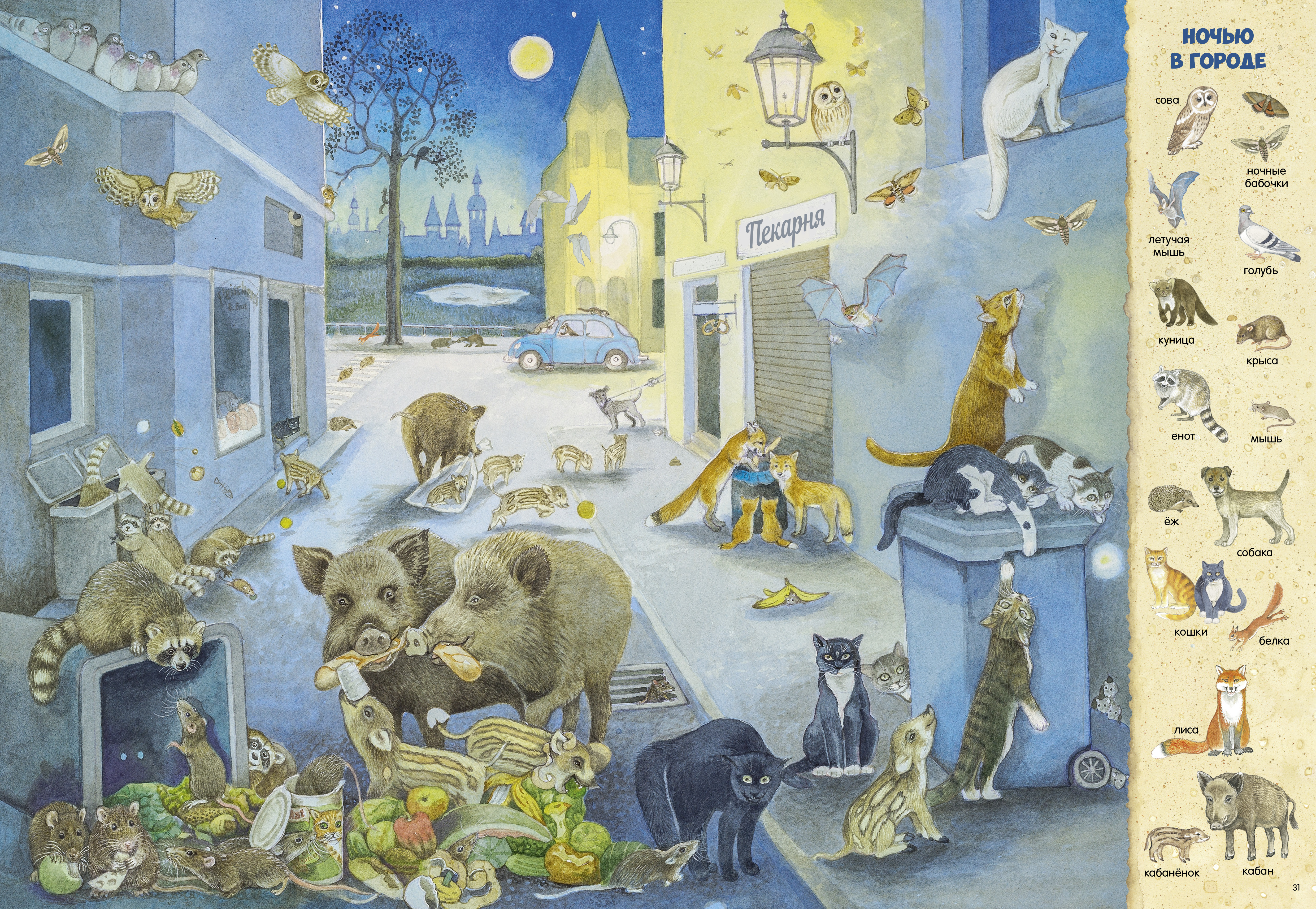 Книга Clever Найди и покажи - фото 4