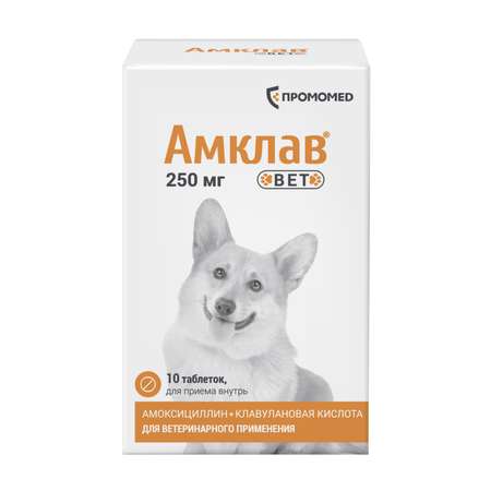 Таблетки Амклав вет для приема внутрь 250мг №10