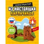 Конструктор ВИСМА Мост из мини-блоков 450 дет.