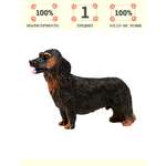 Игровой набор Masai Mara Длинношерстная такса