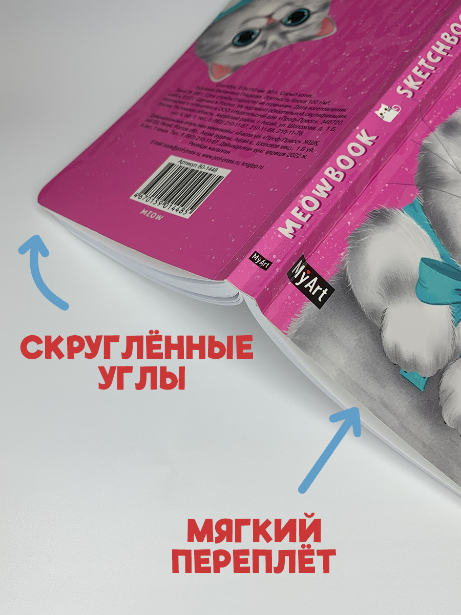 Скетчбук Проф-Пресс карманный блокнот Meowbook. А6 80 лист. 1 шт. - фото 4