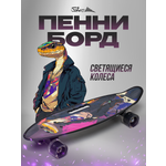 Пенни борд Saimaa 58 см