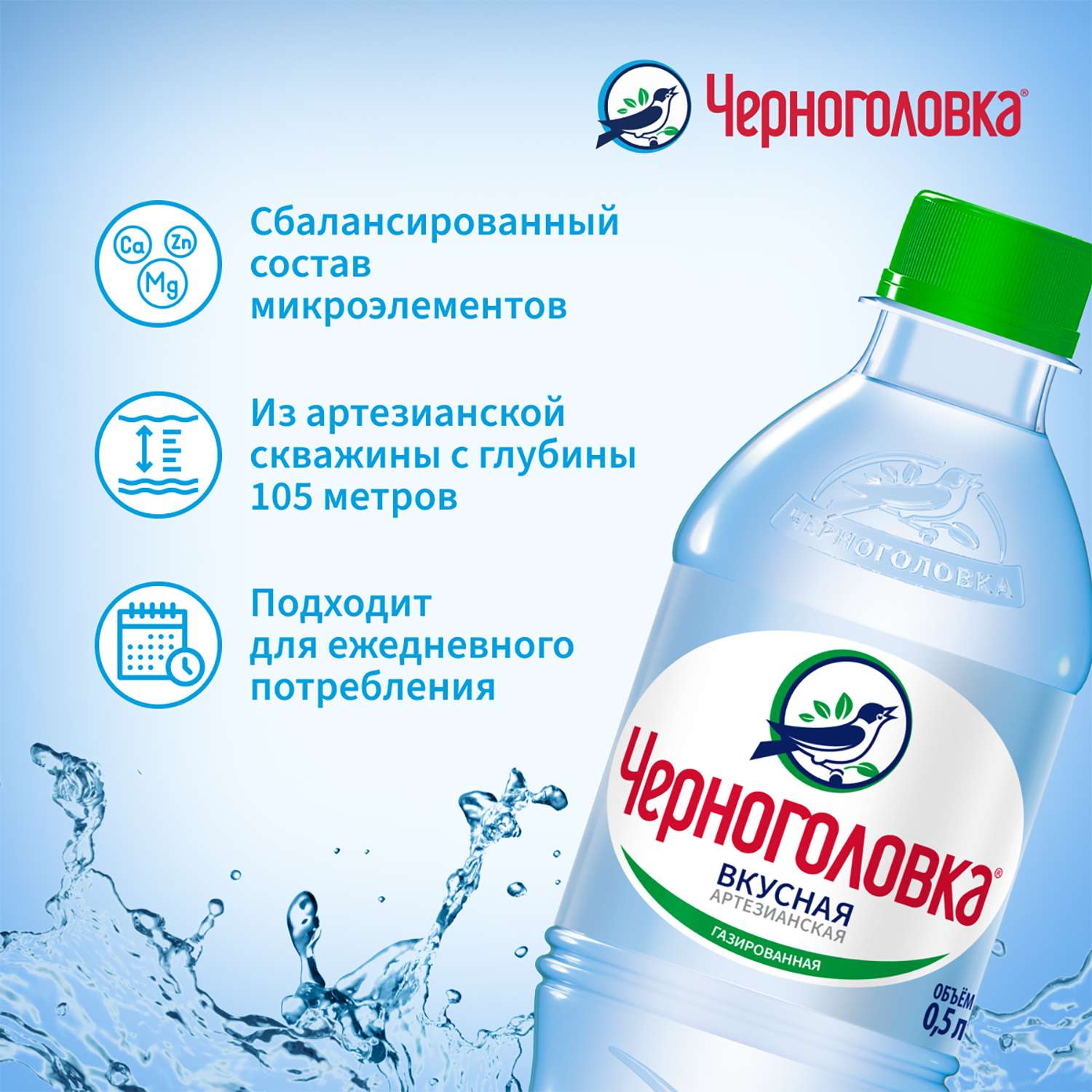 Черноголовка - фото 2