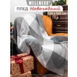 Плед Wellness Лори флис 130 x 150 см