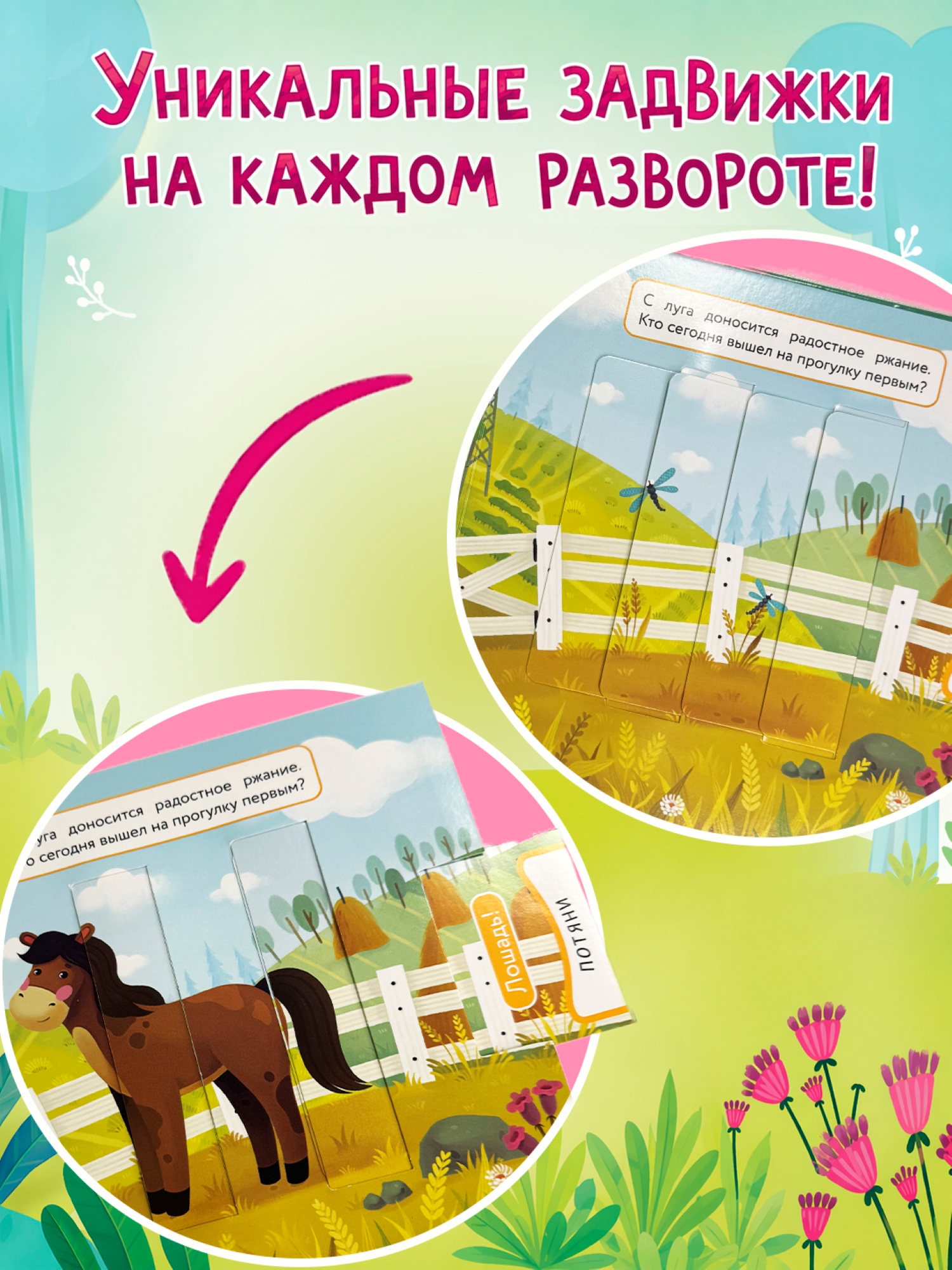 Книга АСТ Книжки задвижки Кто где живет - фото 4