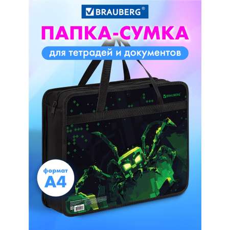 Папка для труда Brauberg А4