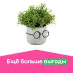 Кашпо IDEA Стив 0.65л со вставкой D115мм