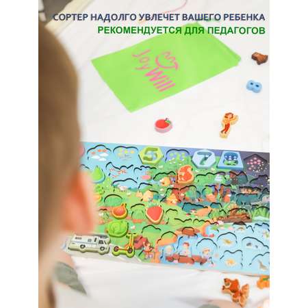 Игрушка JoyWill сортер Монтессори