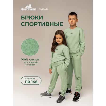 Брюки Nordman