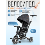 Трехколесный велосипед Farfello 10 дюймов