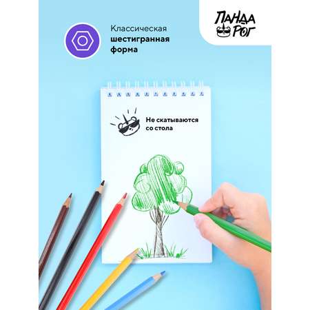 Карандаши цветные ПАНДАРОГ 6 шт.