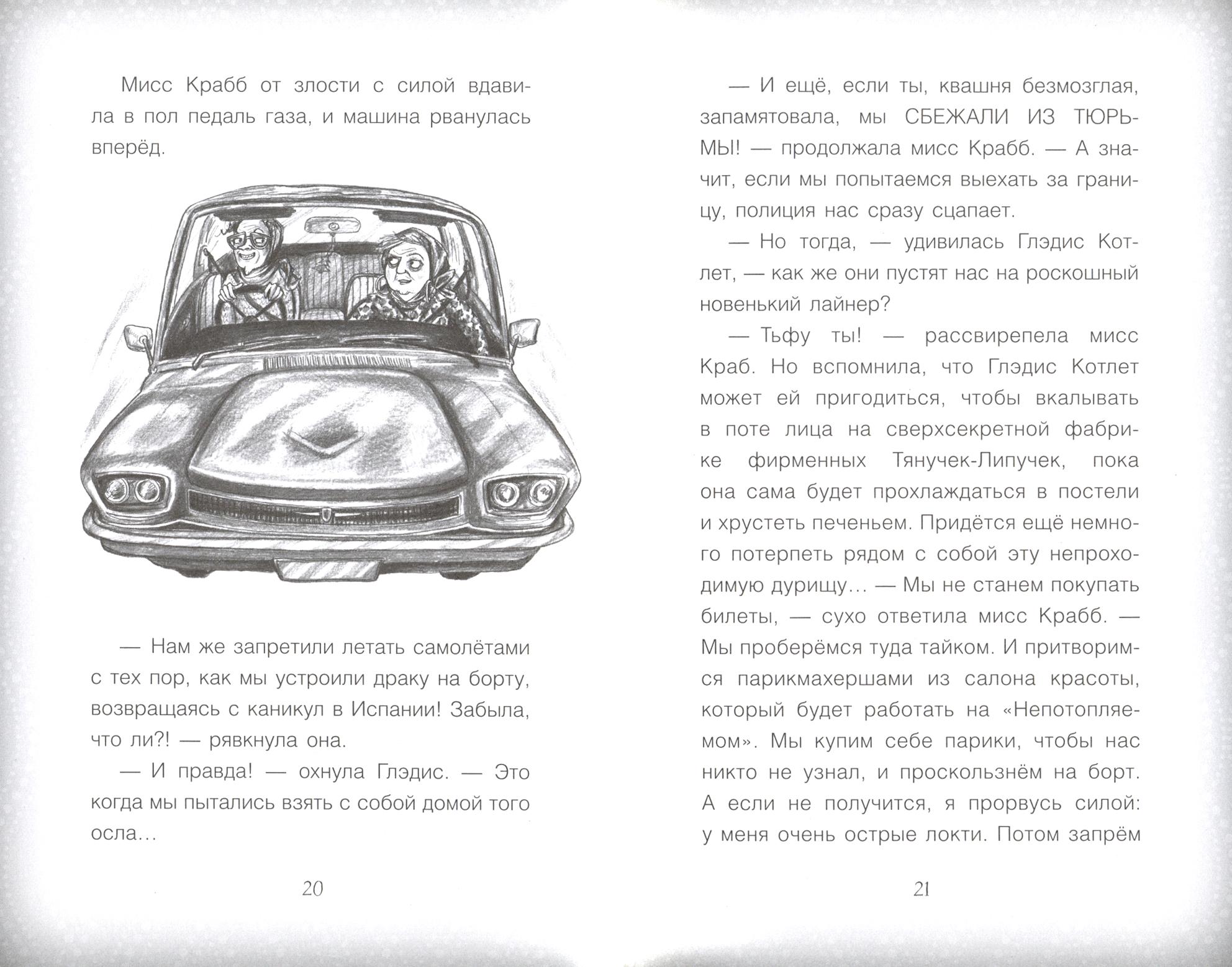 Книга Качели Элси Харт и опасное приключение - фото 5