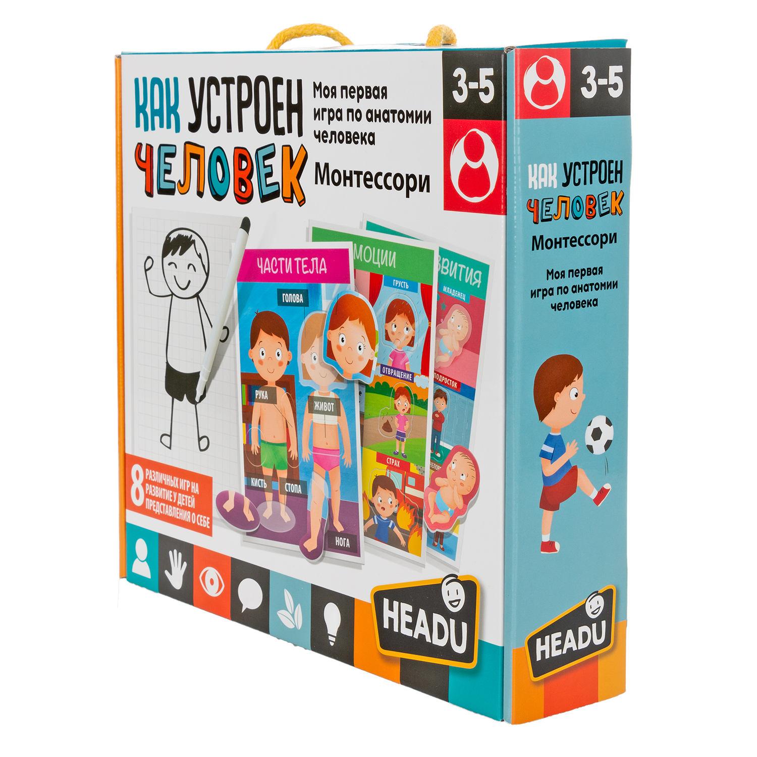 Настольная игра HEADU Как устроен человек для детей - фото 11