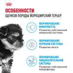 Корм для щенков ROYAL CANIN Yorkshire Terrier Puppy 500г