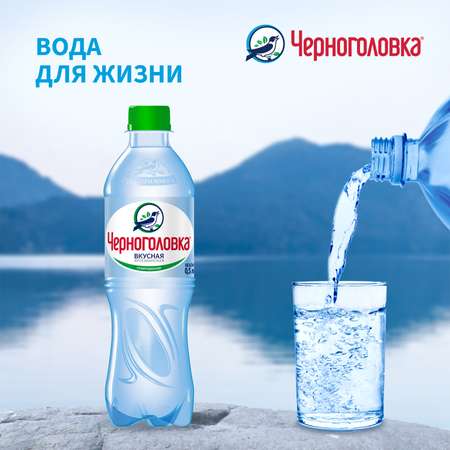 Вода минеральная Черноголовка газировання 0.5л