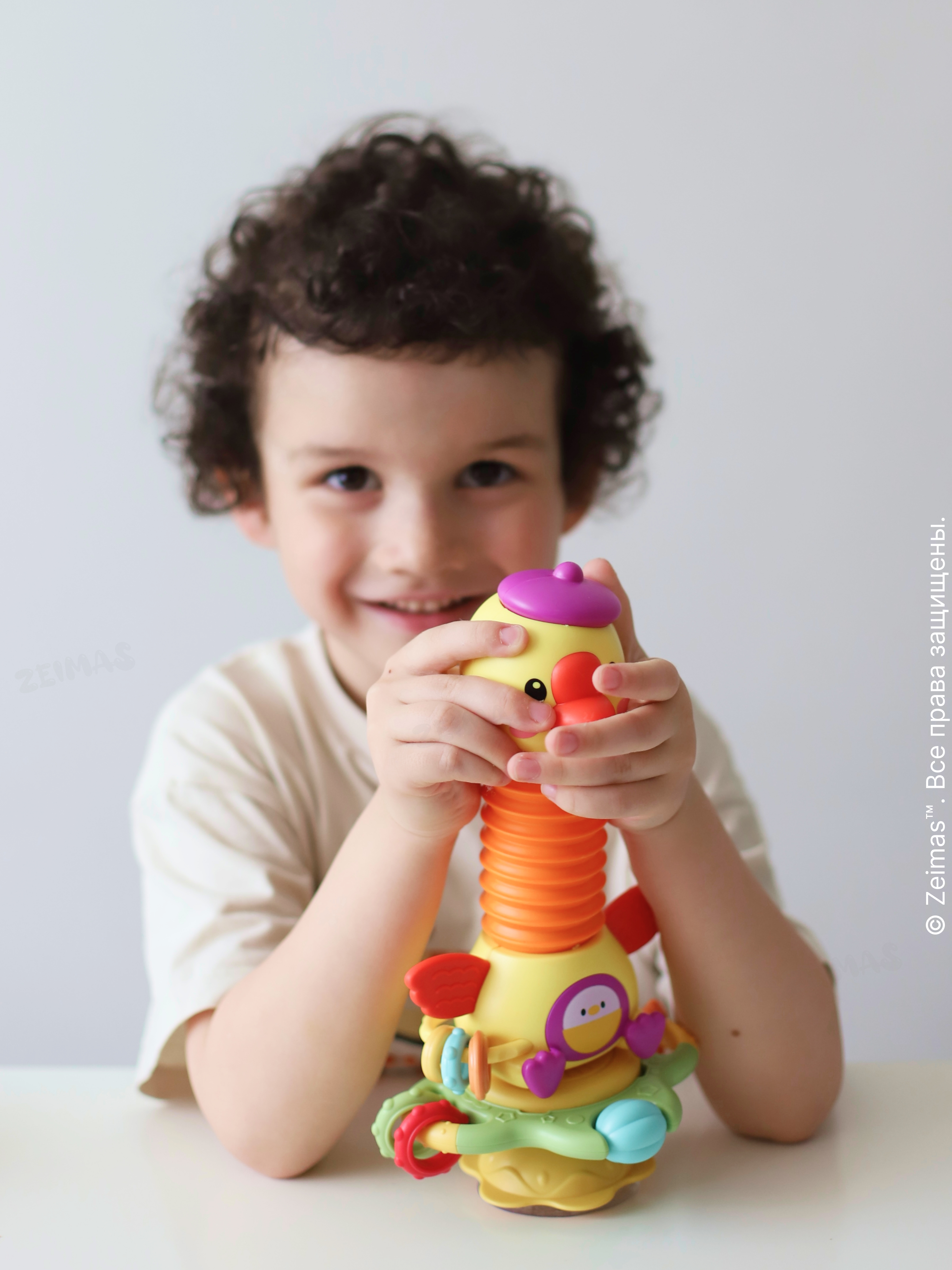 Игрушка Zeimas Музыкальная игрушка в ассортименте - фото 15