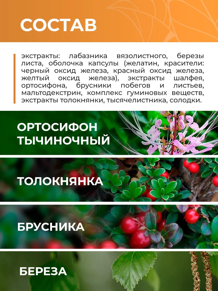 Биологически активная добавка к пище НЕОЛАЙФ «НЕФРОКАРД», 60 капсул по 500 мг - фото 3