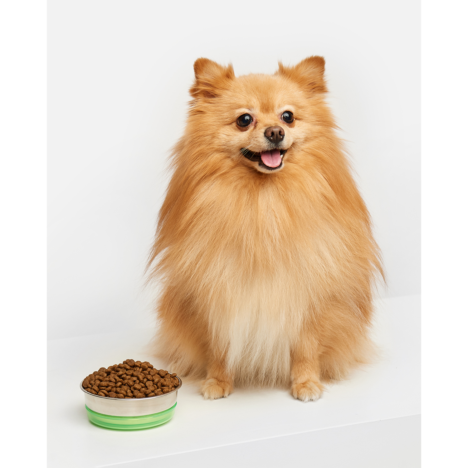 Корм для щенков Carnica 3кг ягненок-рис для средних и крупных пород сухой - фото 9