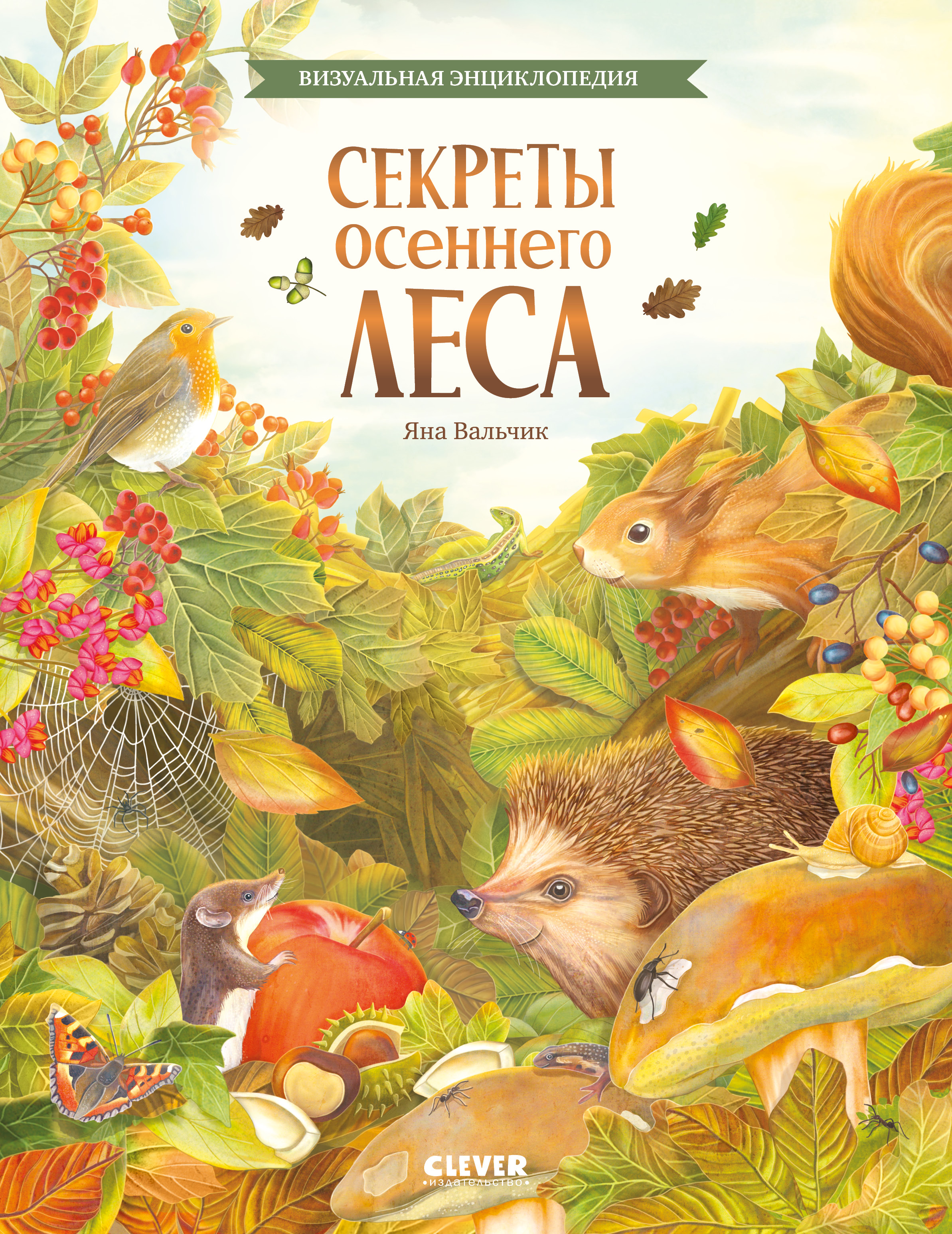 Книга Clever Удивительные энциклопедии - фото 1