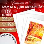 Художественная бумага Brauberg для акварели