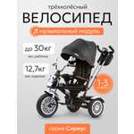 Трехколесный велосипед Velobibi 12 дюймов