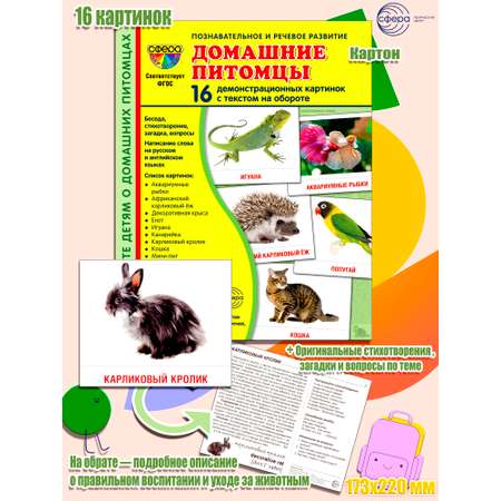 Карточки ТЦ Сфера Домашние питомцы