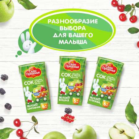 Cок Сады Придонья яблоко-ежевика 0.125л с 6месяцев