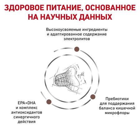 Корм для кошек ROYAL CANIN Fibre Response FR31 при запоре 0.4кг