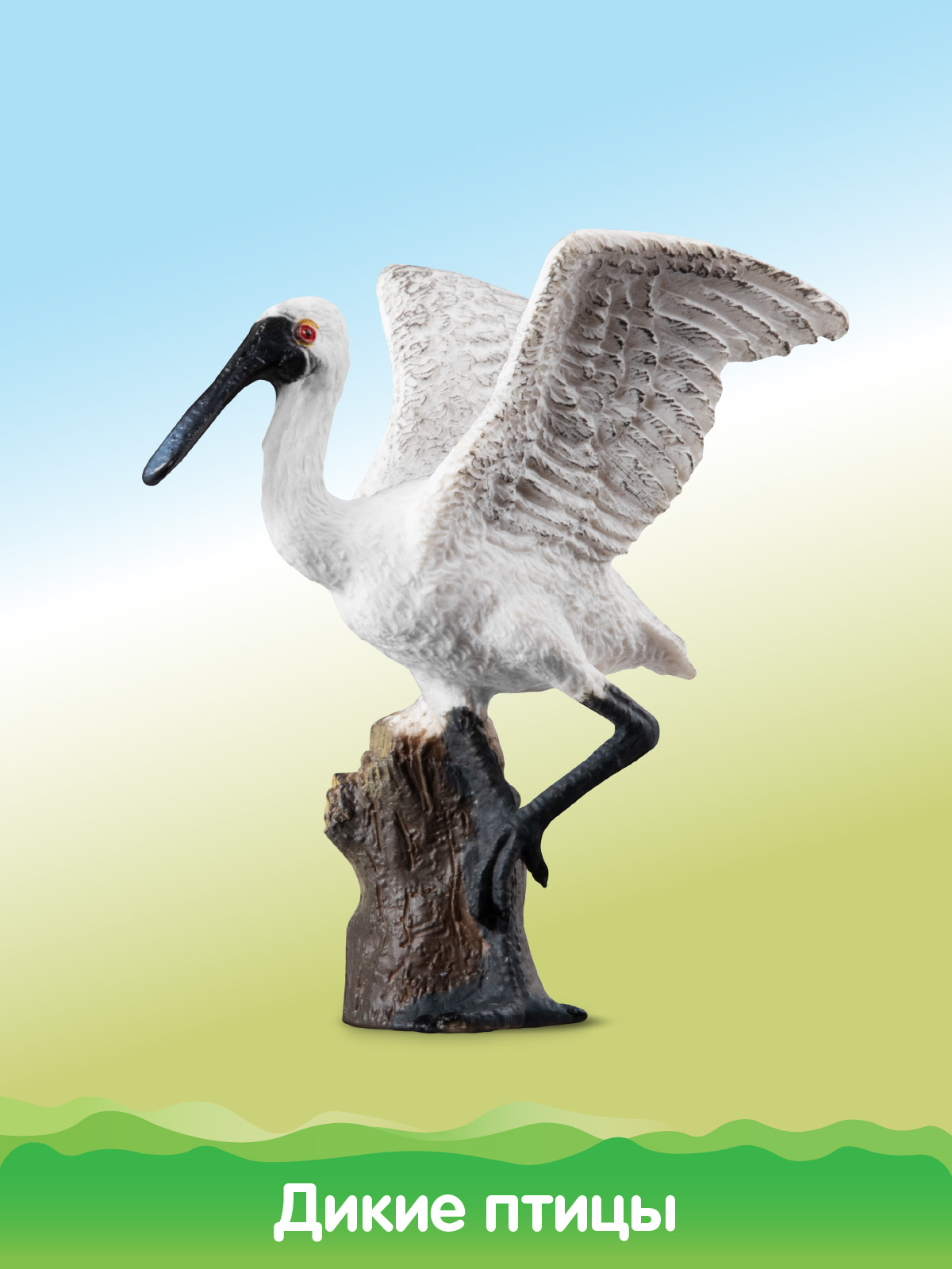 Игровой набор DARWIN Животные Птицы - фото 8